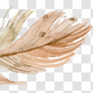 Feather Drawing ATHANASIOS KOROMILAS ENT OFFICE KALAMATA Watercolor Painting - Color - Made For Each Other Transparent PNG
