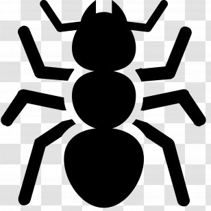 Ant Insect Termite Bed Bug - Ladybird Transparent PNG