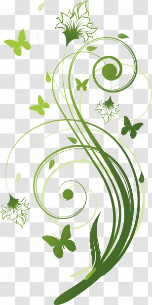 Flower Stock Photography Floral Design Green - Branch - Vine Transparent PNG