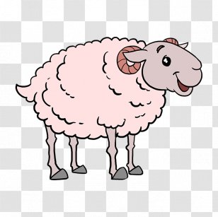Jacob Sheep Drawing Image Illustration Shepherd - Barnyard Button Transparent PNG