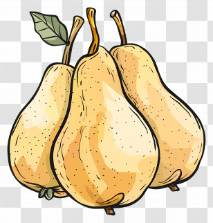 Pears - Three Fresh Pears Transparent PNG