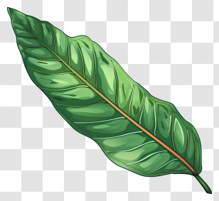 Cherry Laurel Leaf - Vibrant Green Leaf Illustration Transparent PNG