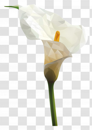 Digital Art - Elegant White Calla Lily Transparent PNG