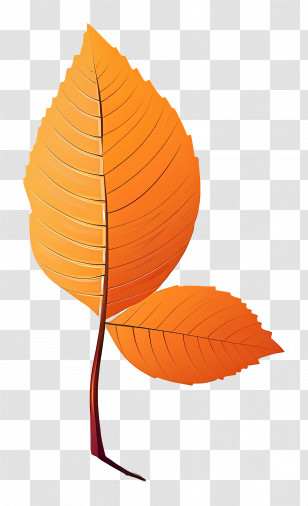 Autumn Leaf On Soil - Bright Orange Autumn Leaves Illustration Transparent PNG