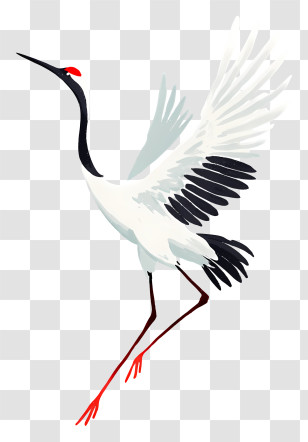 Graceful White Crane - Graceful Red-crowned Crane In Flight Transparent PNG