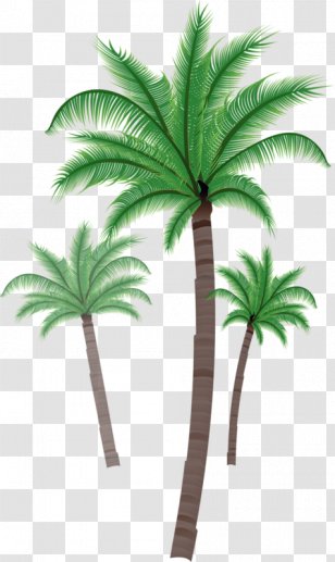 Asian Palmyra Palm Coconut Trees Clip Art Illustration - Flower Transparent PNG