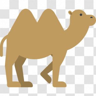 Camel Cartoon - Like Mammal Transparent PNG