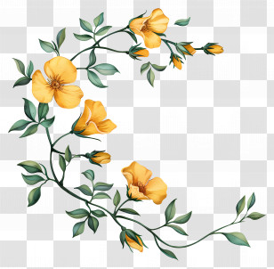 Yellow Flowers - Yellow Flower Vine Illustration Transparent PNG
