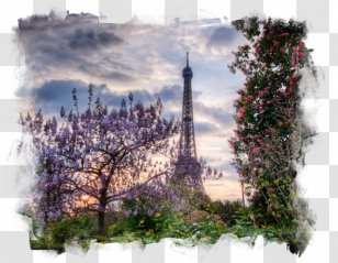 Collage Summer Landscape Clip Art - Paintings Transparent PNG