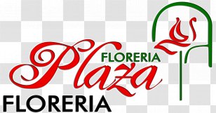 Floreria Plaza Floristry Cut Flowers Floral Design - Website Building Transparent PNG