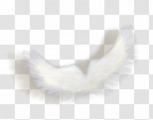 Eyelash Close-up Feather - Beak Transparent PNG