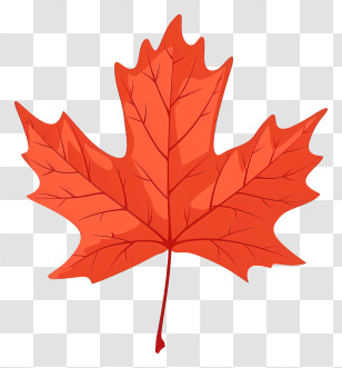 Maple Leaf - Cartoon-Style Orange Maple Leaf Design Transparent PNG