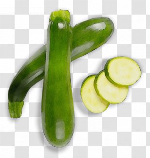 Vegetable Cucumber Plant Zucchini Cucumis - Legume Gourd And Melon Family Transparent PNG