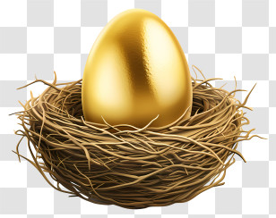 Golden Egg - Golden Egg In A Nest Transparent PNG