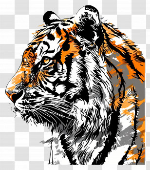 Tiger - Detailed Tiger Illustration With Orange Stripes Transparent PNG