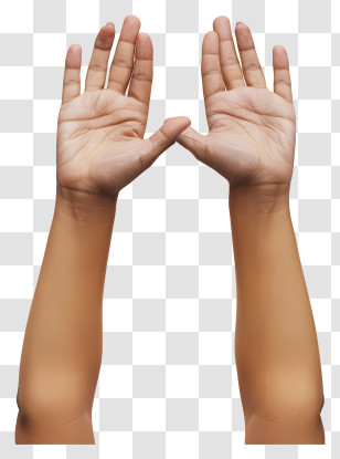 Emoji - Raised Hands With Open Palms Transparent PNG