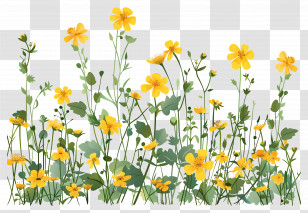 Flower Bush - Yellow Wildflowers Illustration For Nature Concepts Transparent PNG