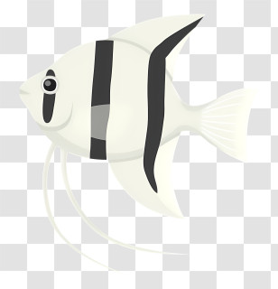 Icon - Striped Fish Illustration Transparent PNG