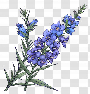 Larkspur Flower - Beautiful Blue Floral Branch Artwork Transparent PNG