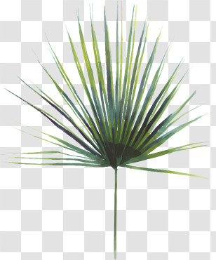 Leaf - Watercolor Palm Leaf With Tropical Vibes Transparent PNG