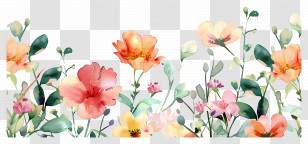 Pastel Flower - Watercolor Floral Pattern With Delicate Flowers Transparent PNG