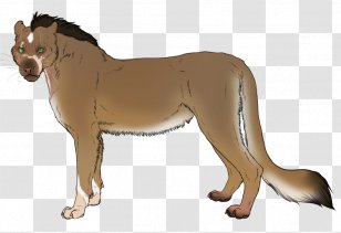 Lykoi Dog Breed Lion - Animal - Classical Shading Transparent PNG