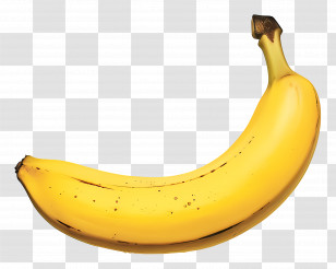Banana - Bright Yellow Banana Illustration Transparent PNG