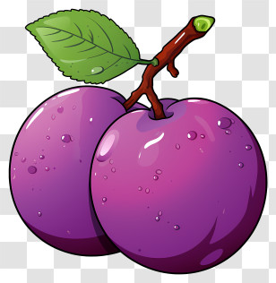Doodle Style Plum - Fresh Juicy Purple Plums Illustration Transparent PNG