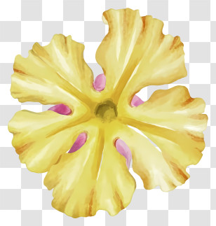 Watercolor Painting - Yellow Flower With Petals Transparent PNG