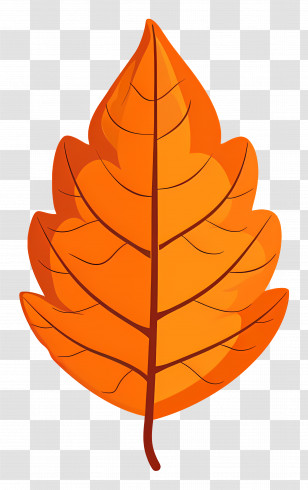 Single Leaf - Bright Orange Autumn Leaf Illustration Transparent PNG