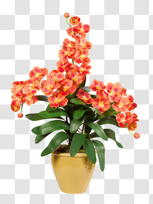 Blumen - Beautiful Potted Orchid Plant For Home Decor Transparent PNG
