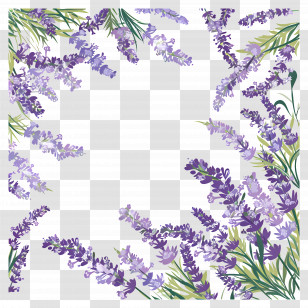 Hand Painted Illustration - Lavender Floral Frame Decoration Transparent PNG