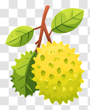 Durian - Yellow Spiky Fruit On Branch Transparent PNG