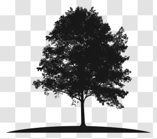 Tree Silhouette - Silhouette Of A Tree On Hill Transparent PNG