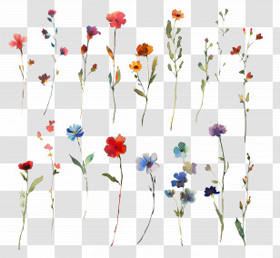 Flower Background - Colorful Watercolor Floral Illustration Transparent PNG