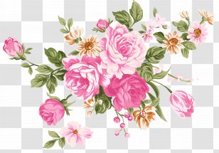 Beach Rose Flower Pink - Watercolor Transparent PNG