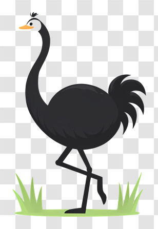 Ostrich Logo - Black Ostrich Standing On Grass Transparent PNG
