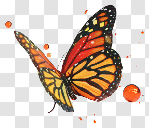 Monarch Butterfly - Vivid Monarch Butterfly Illustration In Nature Transparent PNG