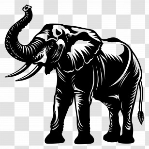 Elephant Trunk Up Silhouette - Black Elephant Silhouette Artwork Transparent PNG