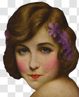 Lillian Gish Eyebrow Magazine Cheek Chin - Art - Harrison Fisher Transparent PNG