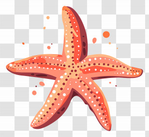 Starfish - Starfish Illustration With Vibrant Colors Transparent PNG