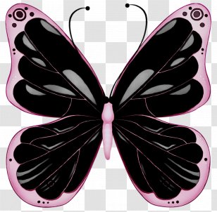 Glasswing Butterfly Clip Art Pink Image - Insect Transparent PNG