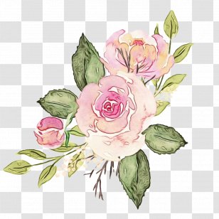 Watercolor Flower Background - Pink - Floribunda Common Peony Transparent PNG
