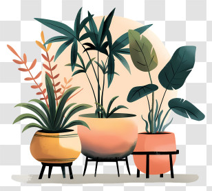Plant Nursery - Artistic Illustration Of Potted Plants For Home Decor Transparent PNG