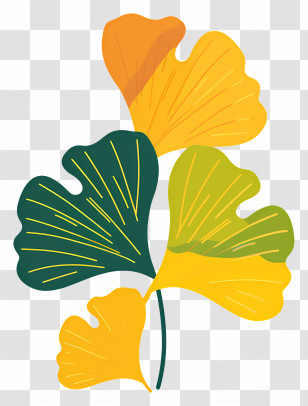 Ginkgo Leaf - Colorful Ginkgo Leaves Illustration Transparent PNG