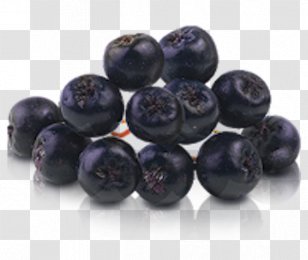 Blueberry Bilberry Huckleberry Aronia Melanocarpa - Frutti Di Bosco Transparent PNG