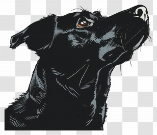 Dog - Artistic Illustration Of A Black Dog Gaze Transparent PNG
