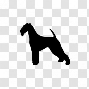 miniature otterhound