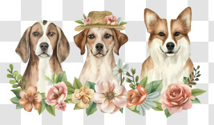 Cartoon - Three Watercolor Dog Portraits With Floral Decorations Transparent PNG