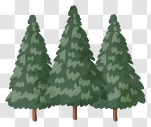 Trees - Green Pine Trees Illustration Transparent PNG